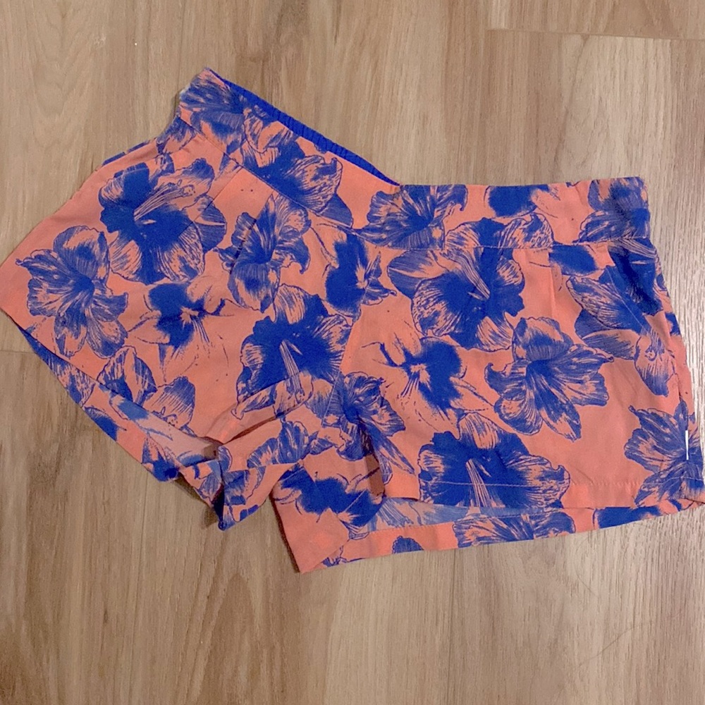Element Shorts 2 for $20